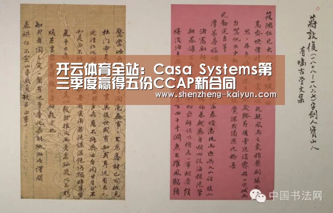 开云体育全站：Casa Systems第