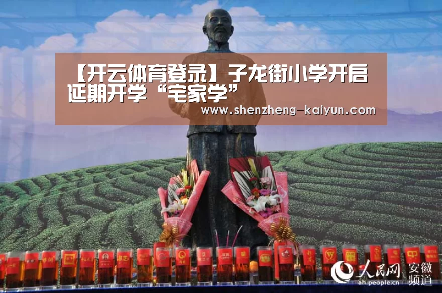 【开云体育登录】子龙街小学开启延期开学“